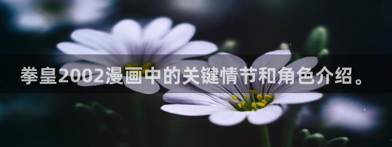 漫蛙(这个绝对能搜到)：拳皇2002漫画中的关键情节和角色介绍。