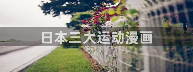 漫蛙2漫画免费下载app：日本三大运动漫画