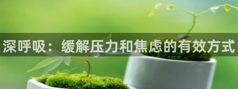 漫蛙2正版app下载：深呼吸：缓解压力和焦虑的有效方式