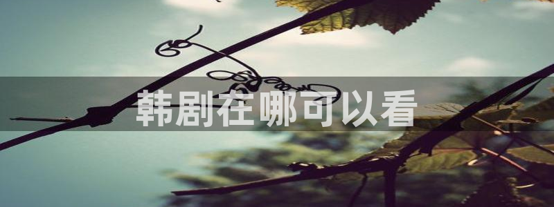 漫蛙manwa下载链接：韩剧在哪可以看