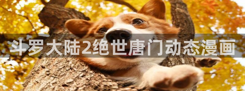 宝宝漫蛙：斗罗大陆2绝世唐门动态漫画