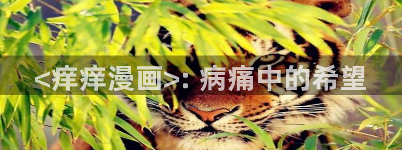 漫蛙漫画人气排行：<痒痒漫画>: 病痛中的希望