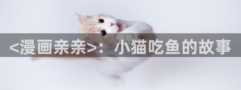 漫蛙漫画页面免费漫画在线阅读：<漫画亲亲>：小猫吃鱼的故事