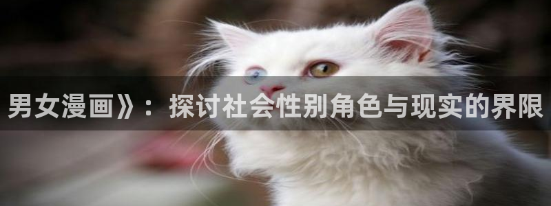 漫蛙2正版入口下载：男女漫画》：探讨社会性别角色与现实的界限