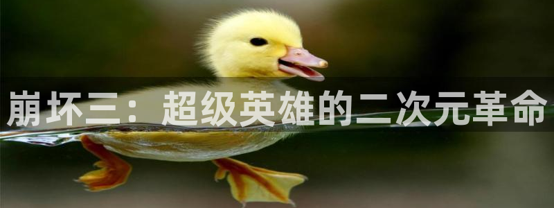 漫蛙漫画官网