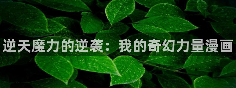 漫蛙免下载