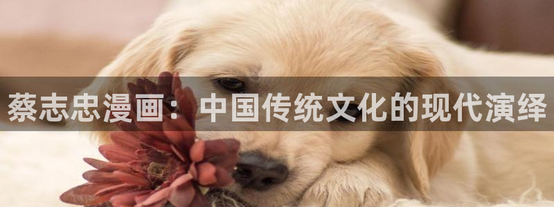 漫蛙w