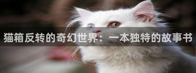 漫蛙ap
