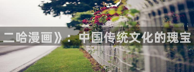 漫蛙ios链接