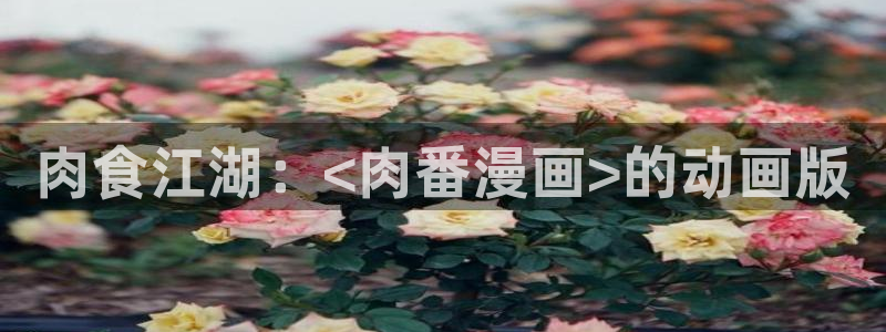 漫蛙manwa网址