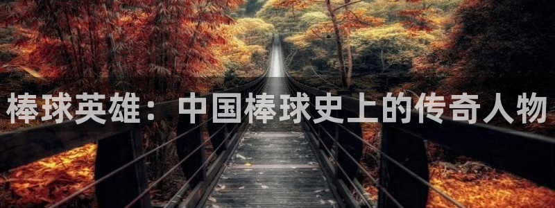 漫蛙2正版下载网址