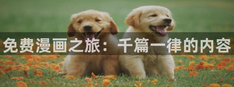 漫蛙韩漫怎么下载