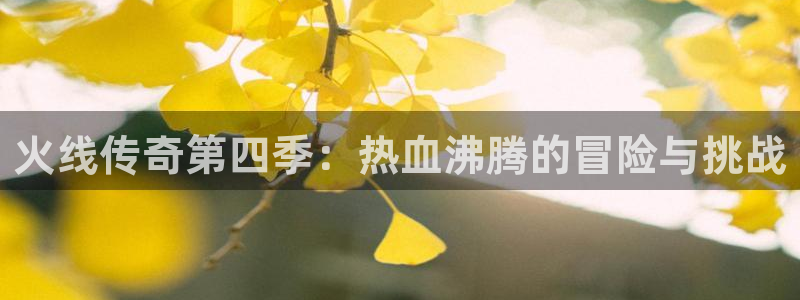漫蛙manwa官网版免费